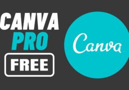Get CANVA Pro for FREE – Giveaway Inside